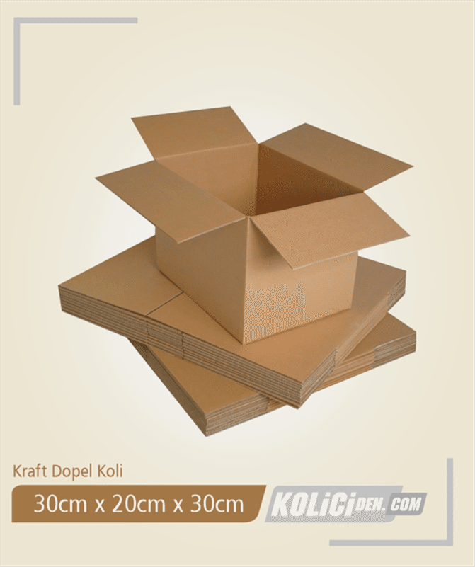 30x20x30 cm Hazır Kraft Dopel Koli
